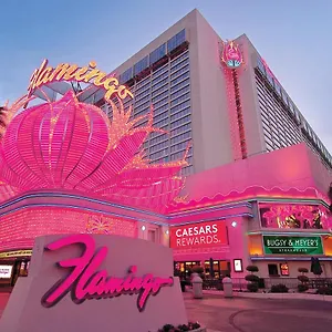 Курортный комплекс Flamingo Vegas & Casino ***